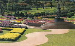 Royal  flower  garden  from  Doi  Tung